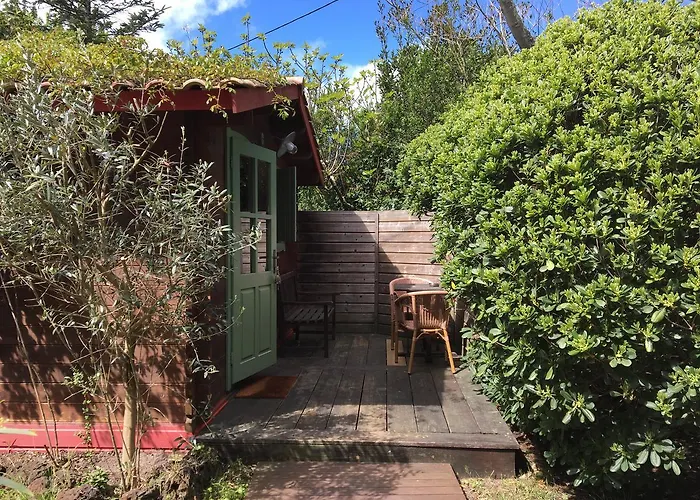 Des Pins Lège-Cap-Ferret