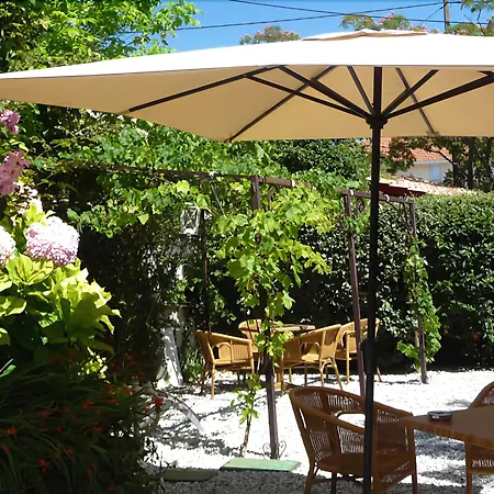 Des Pins Lège-Cap-Ferret