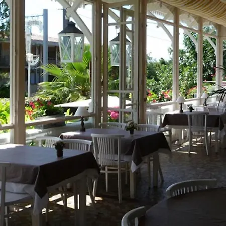 Des Pins Lège-Cap-Ferret