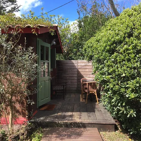 Des Pins Lège-Cap-Ferret