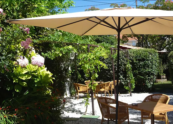 Des Pins Lège-Cap-Ferret