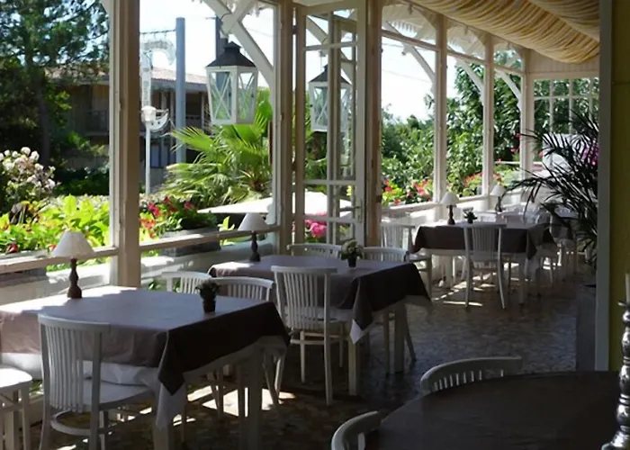 Des Pins Lège-Cap-Ferret